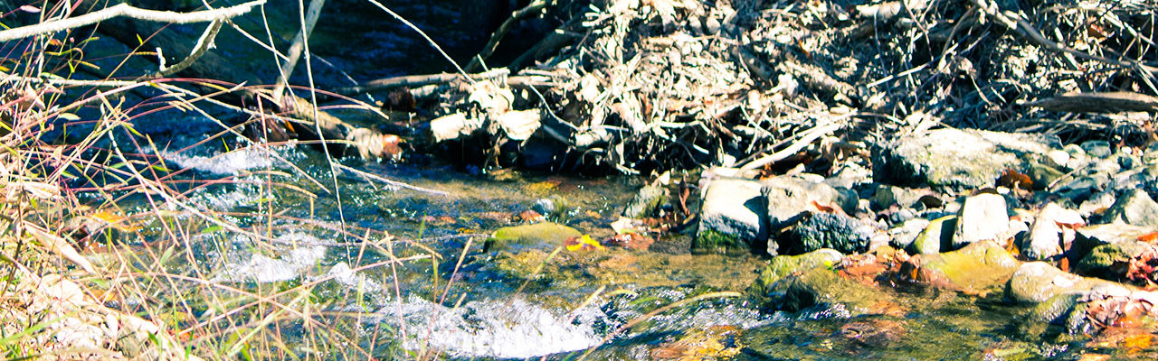 Hunting Creek Almanac